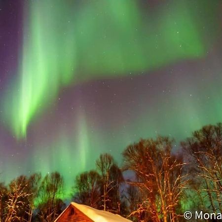 Susitna River Lodging, Suites Talkeetna Dış mekan fotoğraf