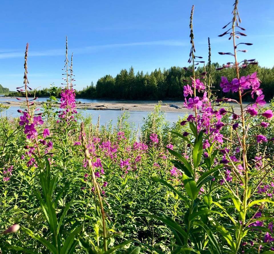 Susitna River Lodging, Suites Talkeetna Dış mekan fotoğraf